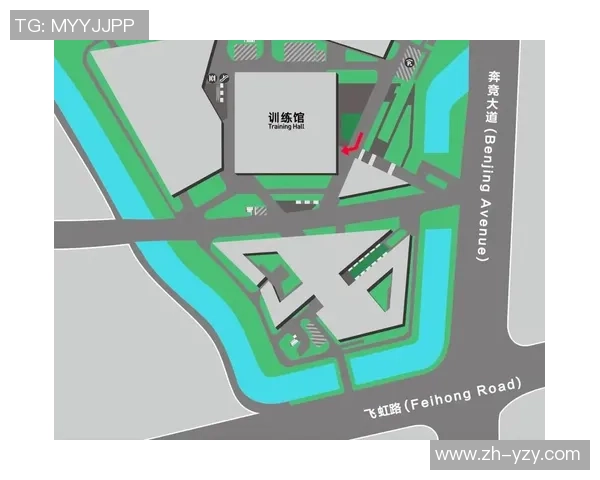 杭州羽毛球队快攻战术解析与训练策略探讨